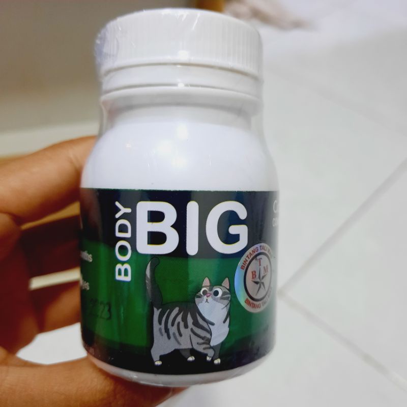 BODY BIG CAT / PENGGEMUK KUCING / VITAMIN KUCING / CAT FATER POWDER / BTM / BIG BODY