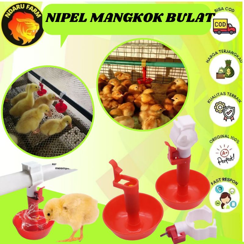 Nepel Neple Ayam, Bebek dan Puyuh Mangkok Bulat NDARUFRAM