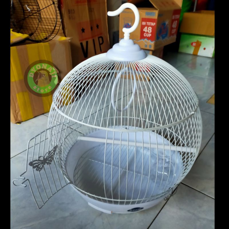 SANKAR BURUNG PLECI, KONIN, PRENJAK SANGKAR BURUNG KECIL MEREK BOOM