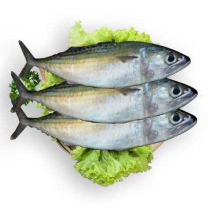 

Ikan Kembung (500 gr)