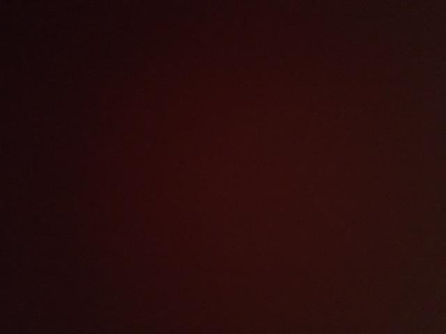 Kayu Naga Pengusir Tikus