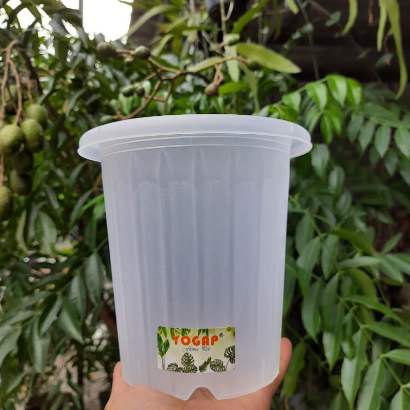 Pot Yogap YPT 13 Transparan Bening / Pot Tanaman