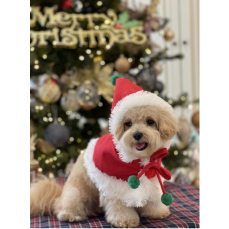 Baju Doggy Natal Christmas Super Quality Red Cape Pawpawsome Projects
