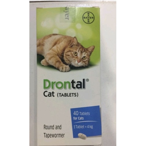 OBAT CACING DRONTAL CAT 1 BOX ISI 48PCS.