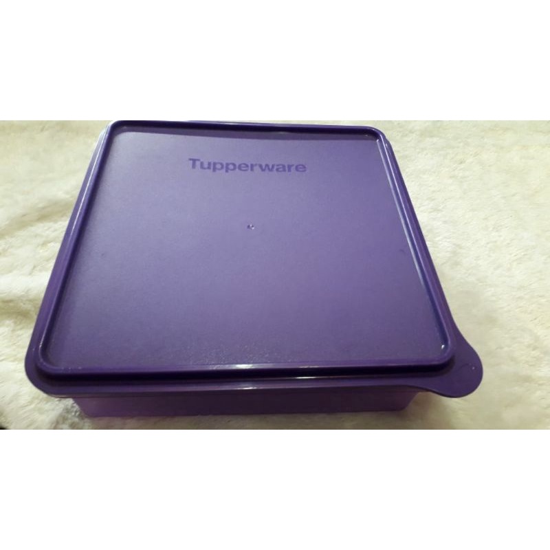 Mosaic Snack stor Tupperware