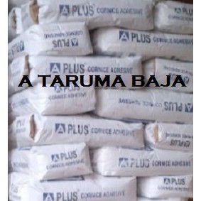 A PLUS 20 KG COMPOUND CORNICE ADHESIVE