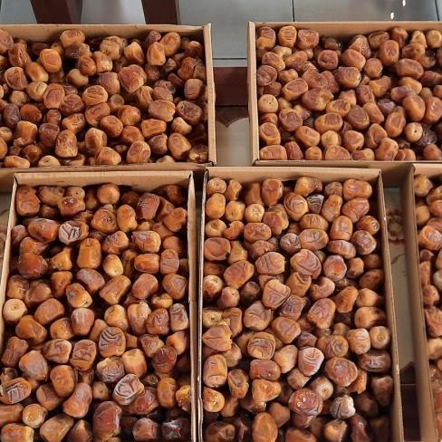 

KURMA 3KG SUKARI FDGG56416