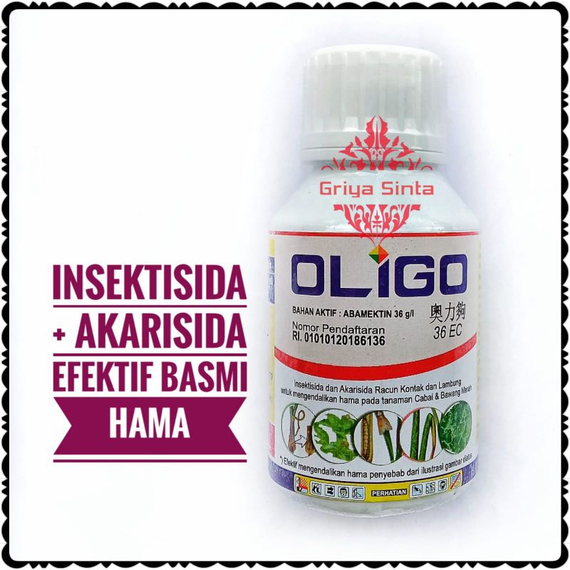 Insektisida OLIGO 36EC Abamektin basmi hama kutu daun trip cabe cabai bawang merah