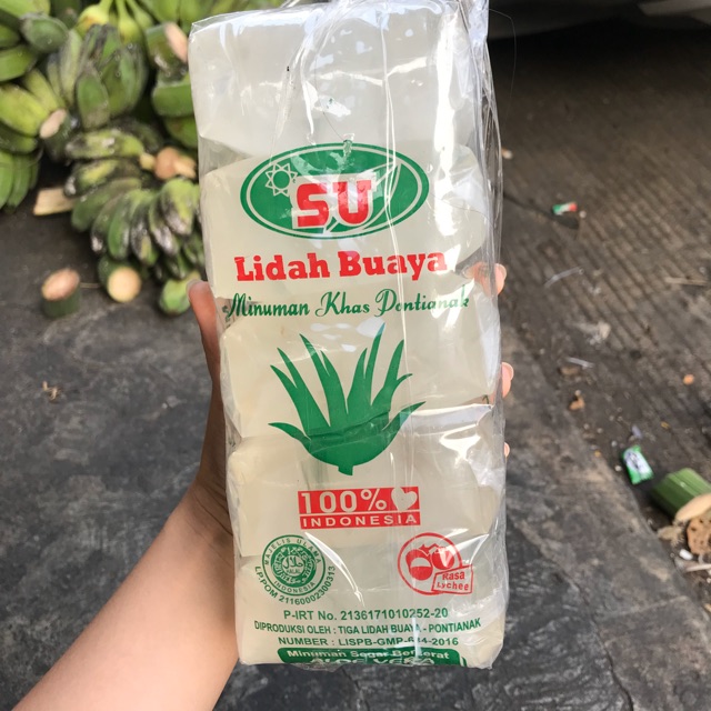

Lidah buaya minuman khas Kalimantan Pontianak aloe vera