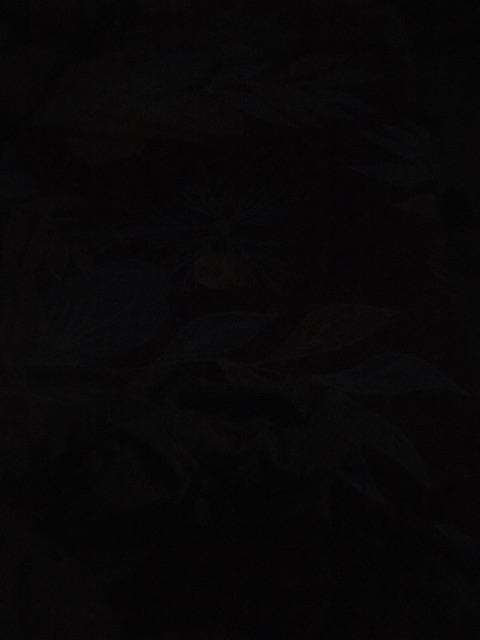 Aneka Rok Katun Prada