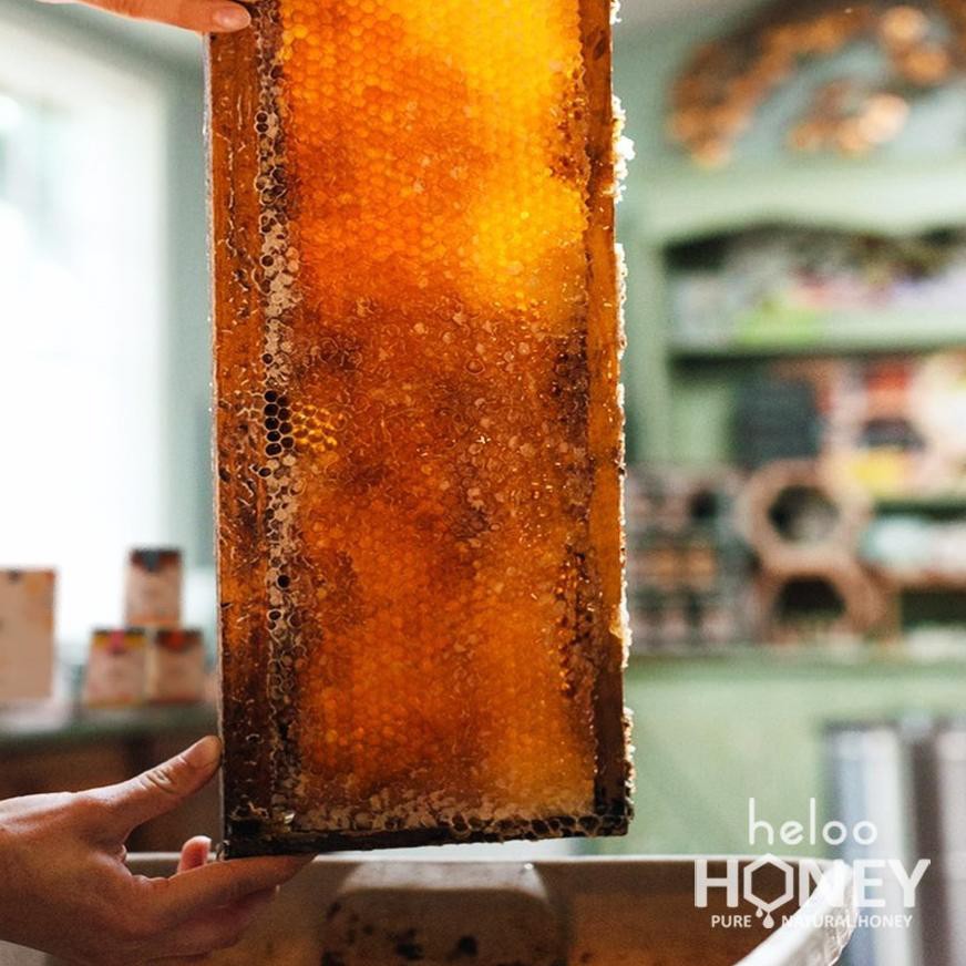 

Diskon!! (dyg-713) Sarang Madu Premium Alami Honey Comb Heloo 500gr 100% Asli Pure Organic Honeycomb