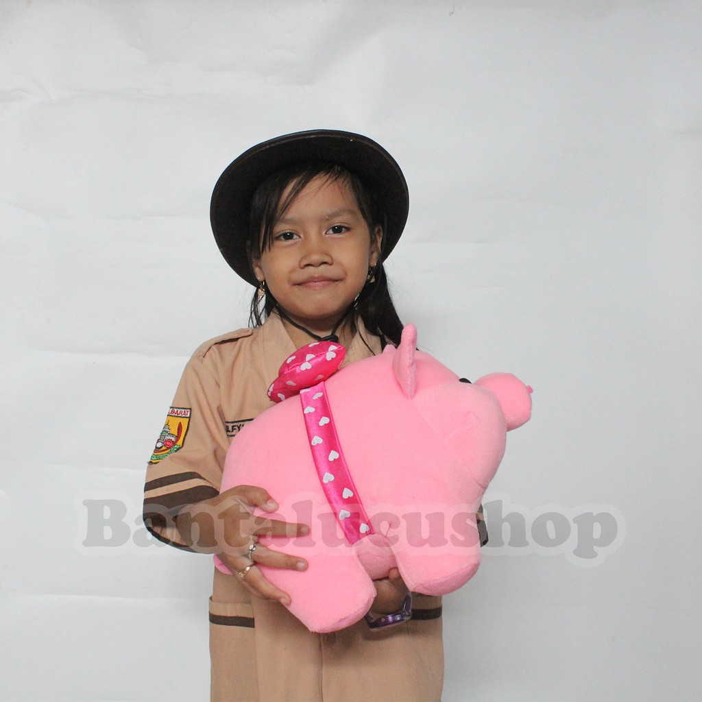 Boneka babi T