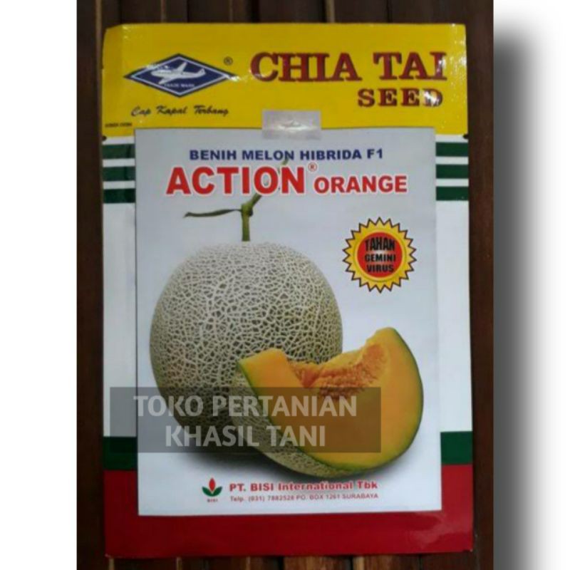 Benih Melon ACTION ORANGE Isi ±550 Biji