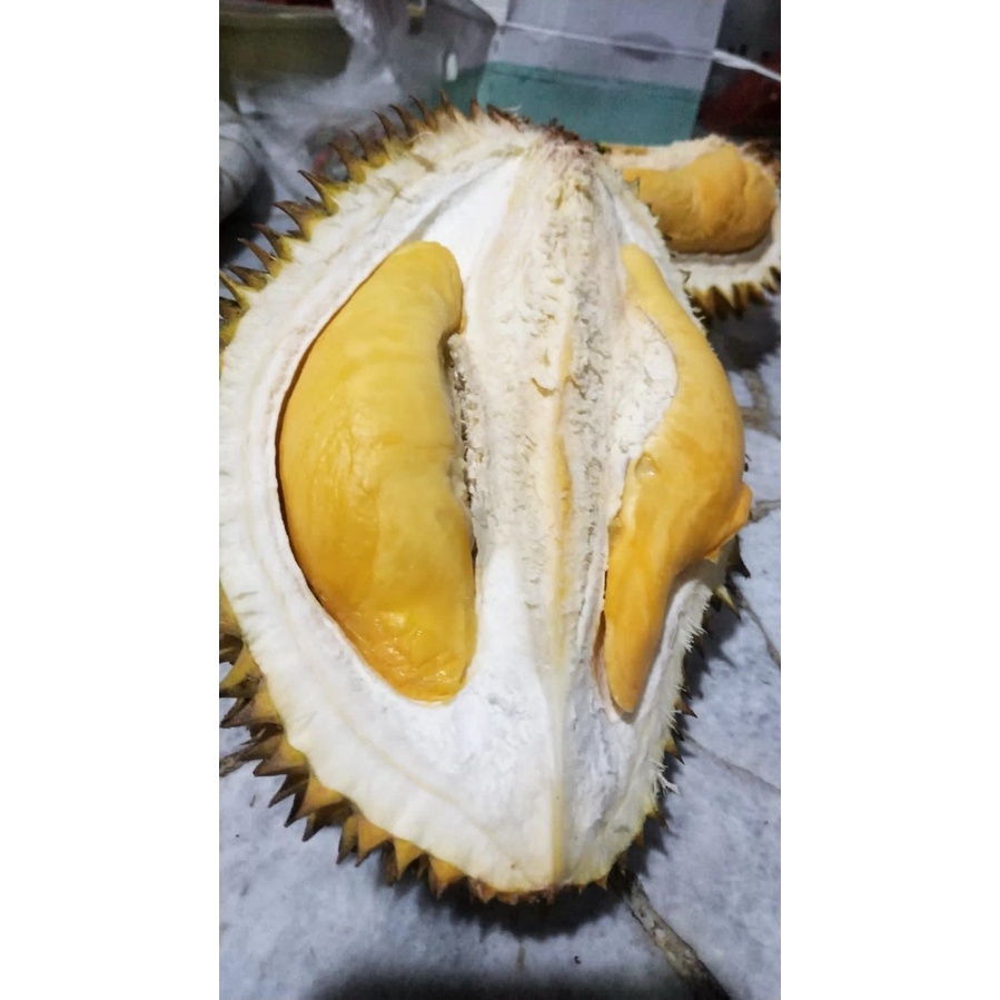 

DUREN-KUPAS-PREMIUM-500GR-BERGARANSI-KEVL_STORE