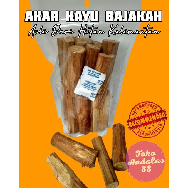 

Akar BAJAKAH ASLI Herbal Hutan Kalimantan