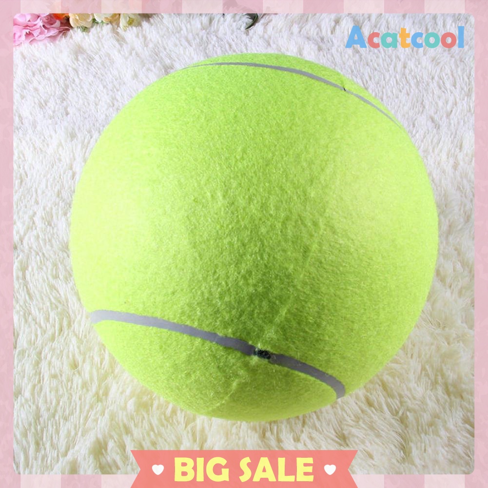 9.5' Big Giant Pet Dog Puppy Tennis Ball Thrower Chucker Launcher Play Toy