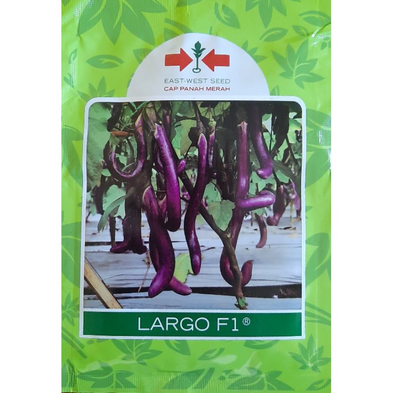 Benih Terong Largo Isi 1100 Butir