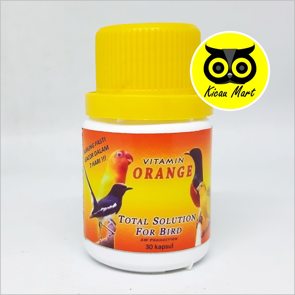 VITAMIN PENGGACOR OBAT MACET BUNYI BURUNG MURAI KACER PLECI ORANGE CAPSUL KAPSUL AIDY WIJAYA VTOCPDI