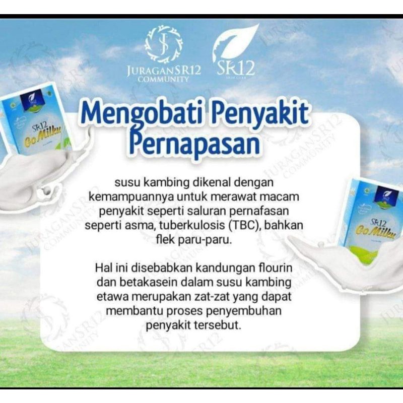 

Susu Go Milku. Susu kambing Etawa Seribu manfaat