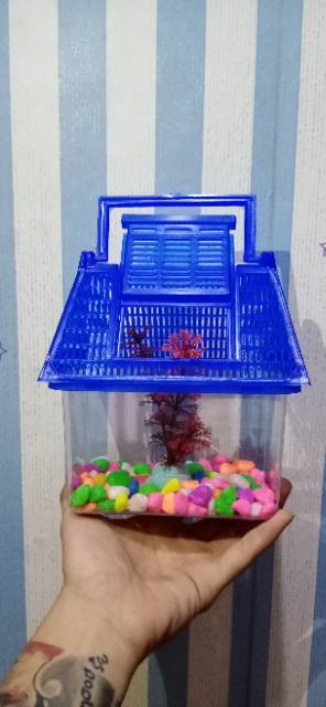 Paket Pet Home / Rumah Mini Kura Kura / Reptil