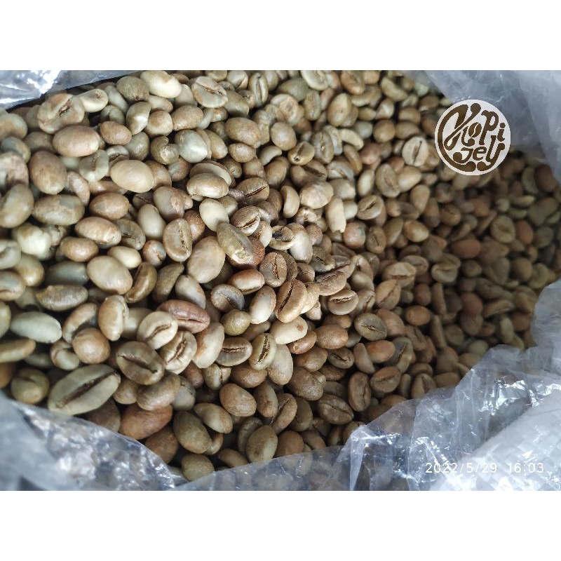 

Green Beans Robusta Asalan Kepahiang Grade 1