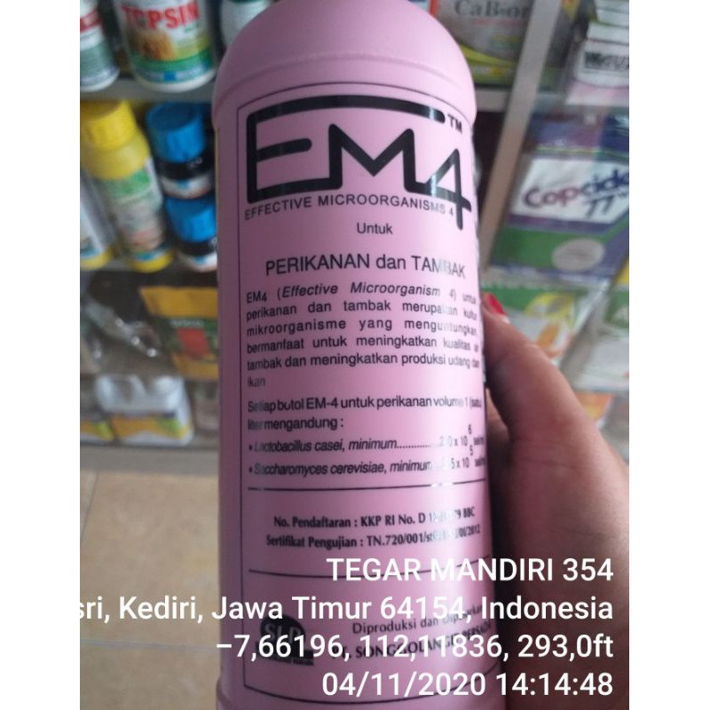 em4 ternak / em4 perikanan / em4 ikan / em4 air