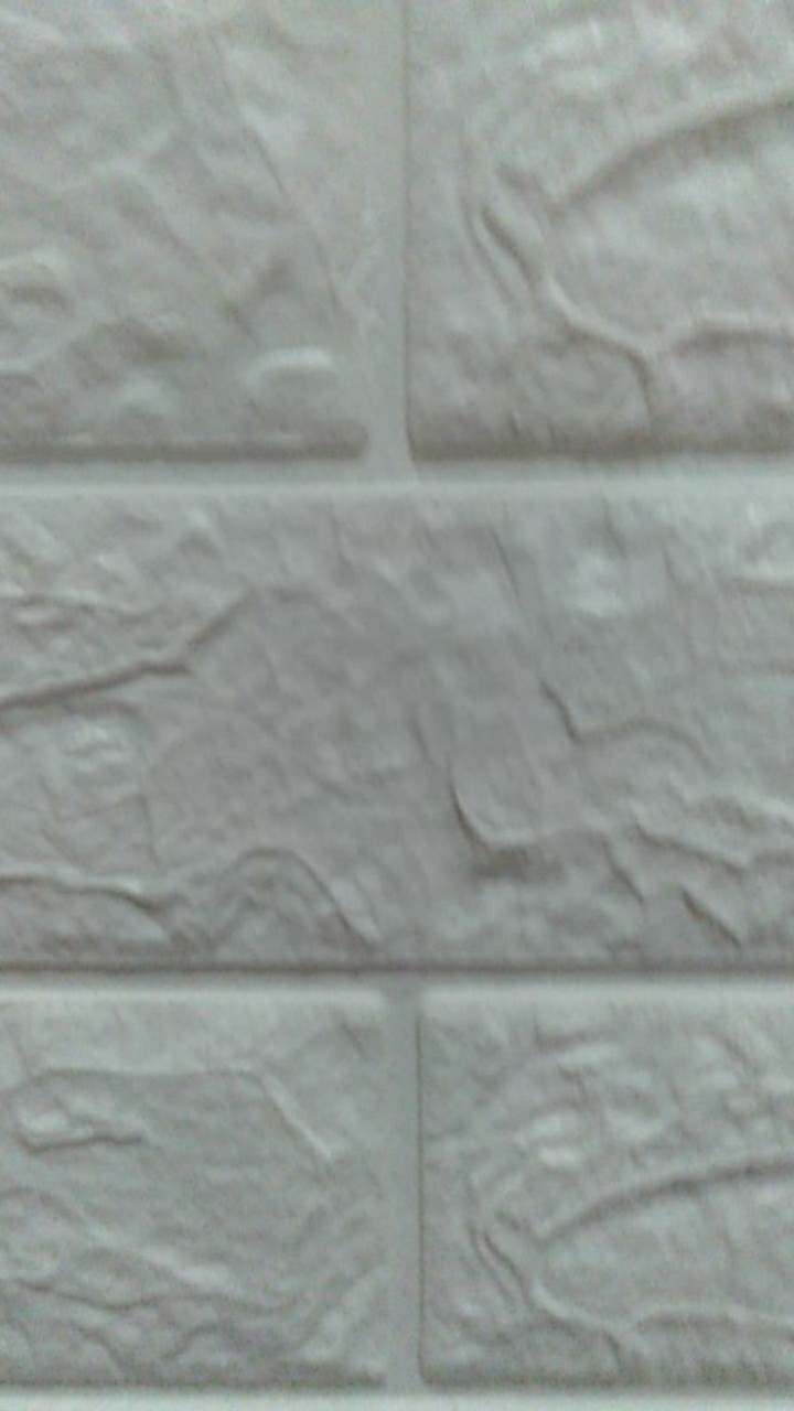 Mesin Vacuum Dan Sealing Makanan Basah Dan Kering 2 In 1 Kaldera / Food Vacuum Sealer Kaldera