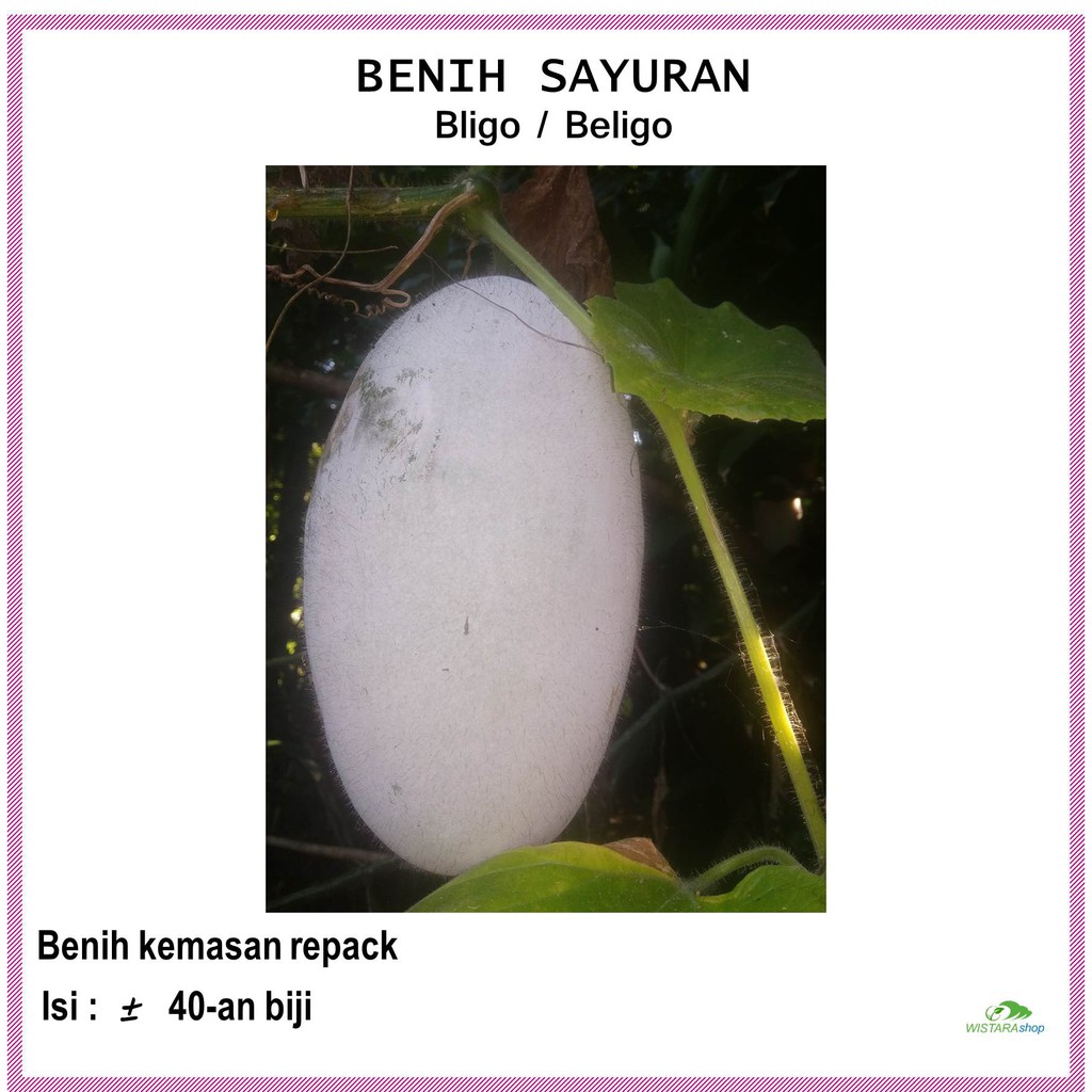 Benih Sayuran Bligo Beligo Kondur Blonceng  Kemasan Repack l Bibit Benih Sayuran