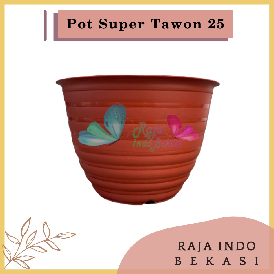 Pot Super Tawon 25 Merah BataTerracota Terracotta Merah Coklat Garden Of Love Pot Tawon Putih Tirus Pot Tawon Pirus 18 20 21 25 27 - Pot Tawon 25