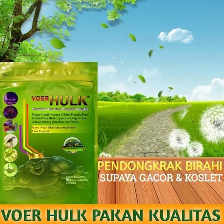 VOER HULK HALUS VOER UNTUK MEMPERCEPAT BIRAHI PADA BURUNG CIGUN TLEDEKAN PRENJAK PLECI