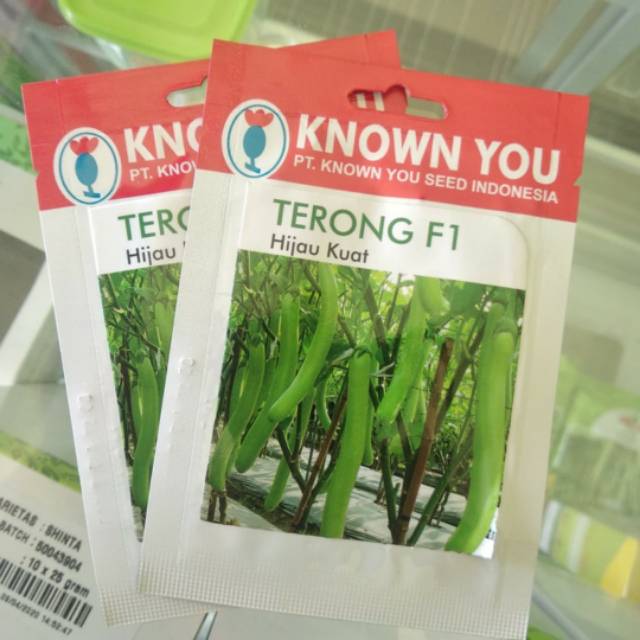 Benih Terong F1 HIJAU KUAT 30 biji