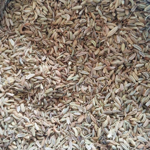 

Jintan Kasar / Jintan Manis / Fennel Seeds uk 100gr