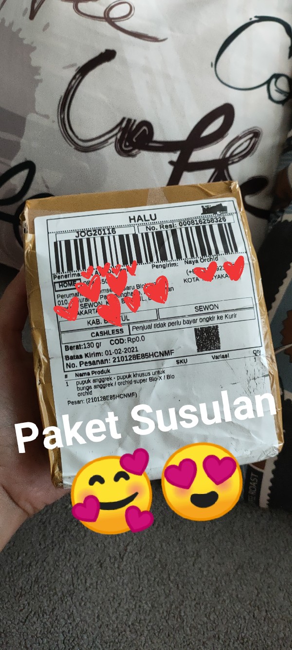 Jual Media Tanam Kayu Kopi Gantung Untuk Anggrek