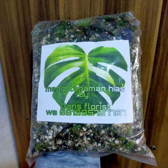 Mosslite ,lumut campuran perlite untuk media tanam