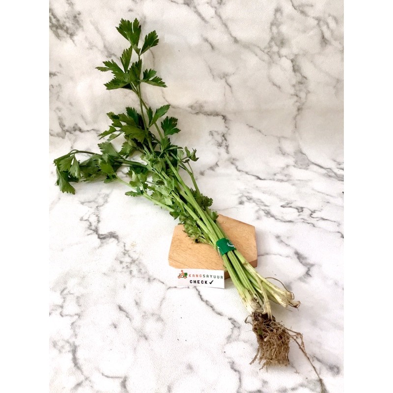 

DAUN SELEDRI - (Per 100 gr)
