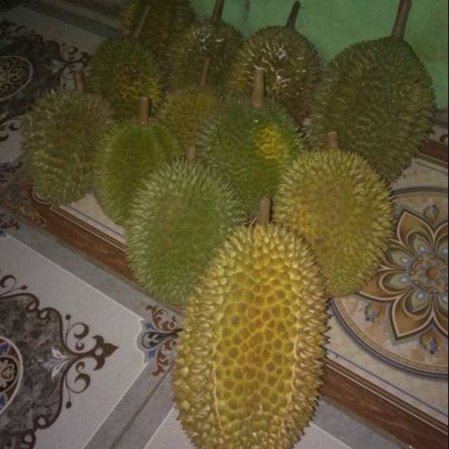 

Durian mantap
