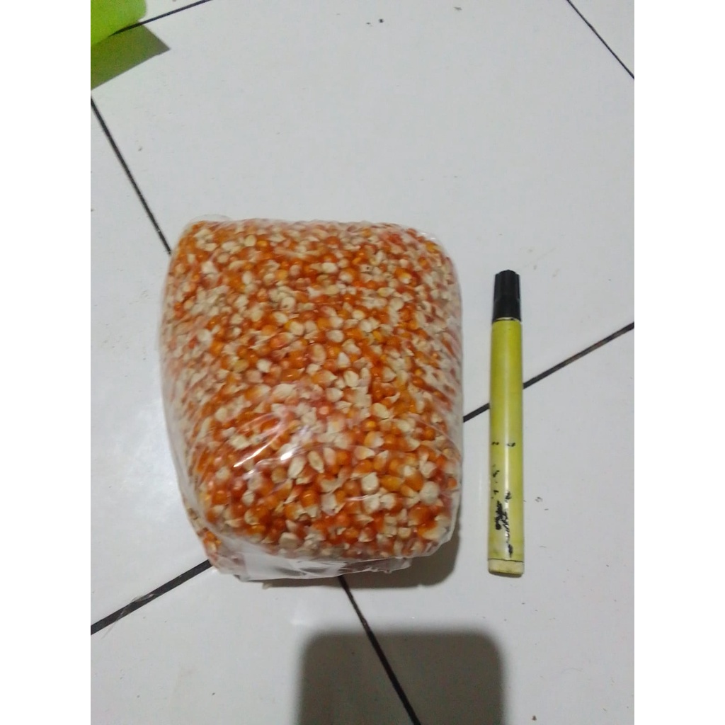 

biji jagung popcorn