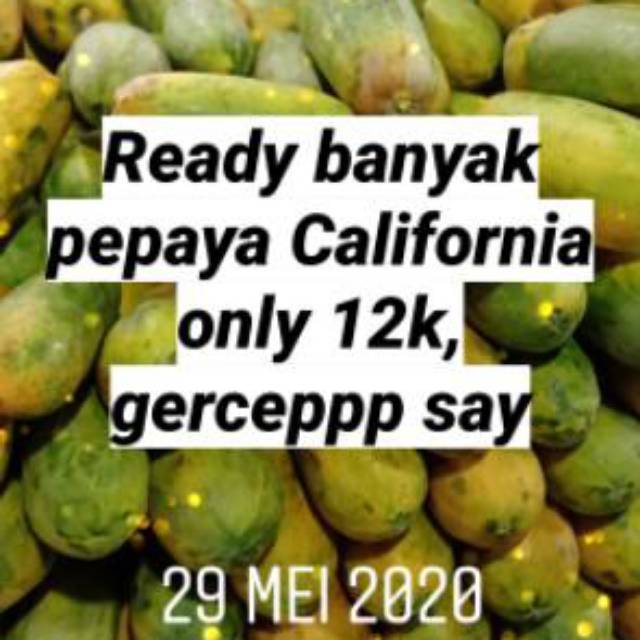 

BUAH PEPAYA CALIFORNIA