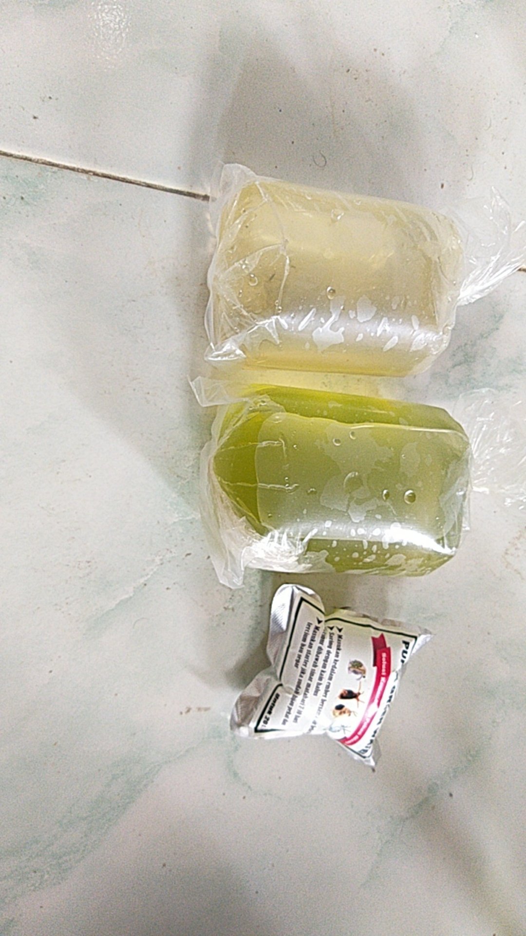 Paket Ternak Kutir Kutu Moina Lengkap Pupuk Green Water Starter Gw Dan Starter Kutir