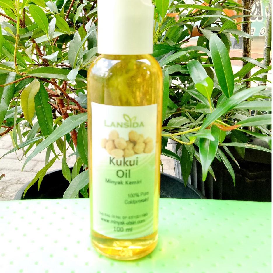New Minyak Kemiri Murni 100 ml  Pure Kukui Cold Pressed Oil | Penumbuh Rambut 