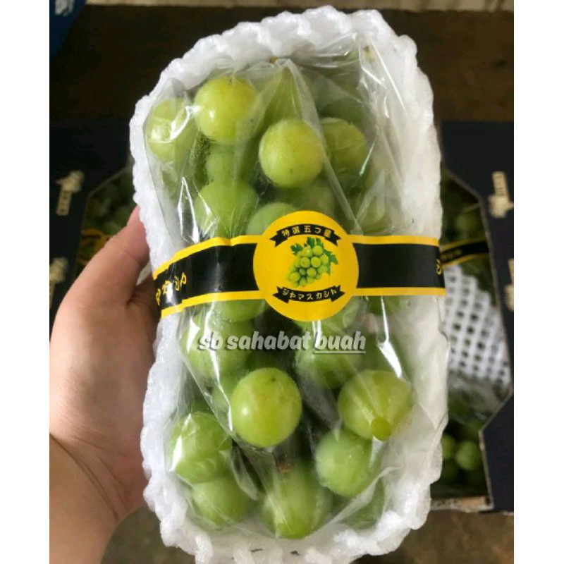 

BUAH ANGGUR HIJAU JEPANG SHINE MUSCAT