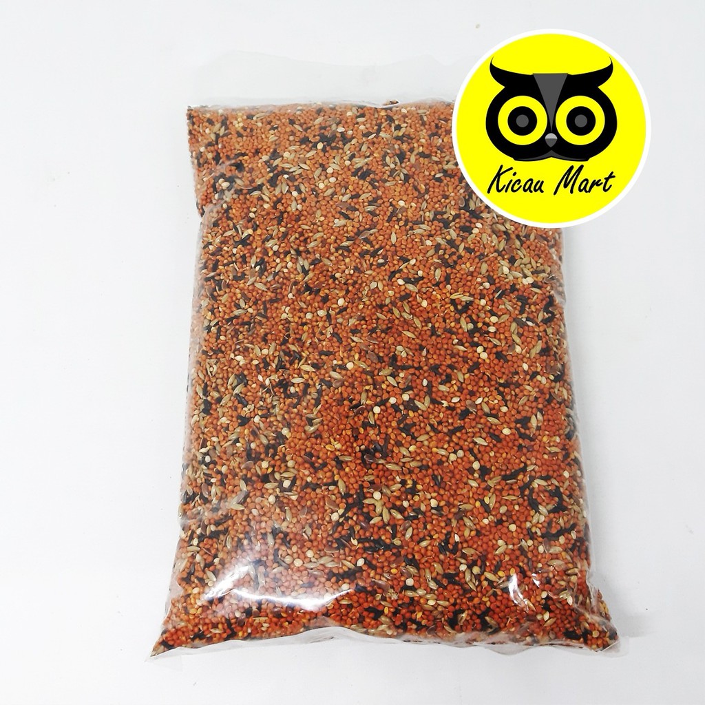 PAKAN MAKAN HARIAN BURUNG BLACK THROAT SANGER FINCH KENARI MOZAMBIK BIJI MILLET MILET BSF OBTCCES3