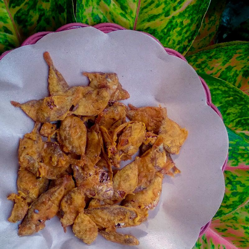 

Ikan Asin Goreng Tepung [100gr]