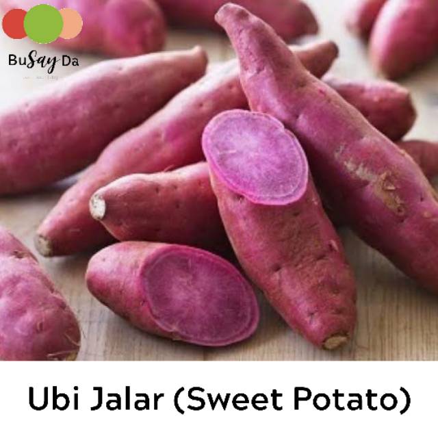 

Ubi Jalar Ungu Manis 1 kg • MPASI • Makanan bayi • Sweet Potato