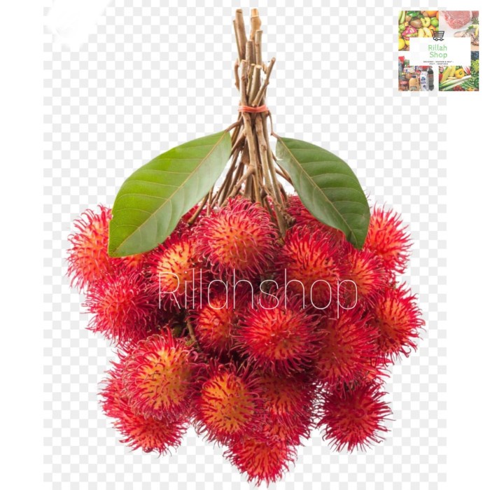 

Buah Rambutan Binjai 500 Gr