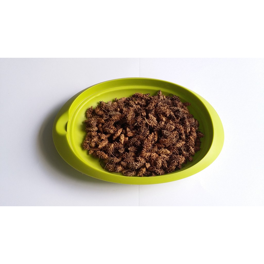 Simplisia Anyang Anyang Kering Best Quality 1 Kg