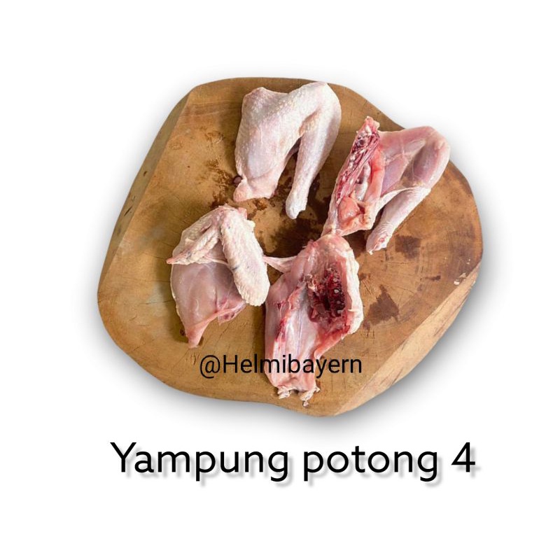 

Daging ayam kampung fresh tnapa pengawet potong 4
