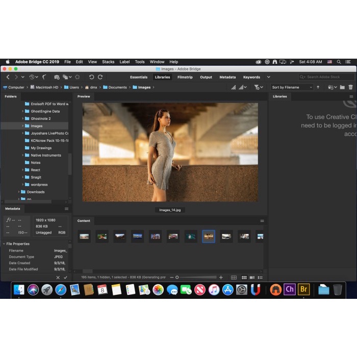 Bridge 2021 macOs for Mac Imac Macbook UPdate Live Time