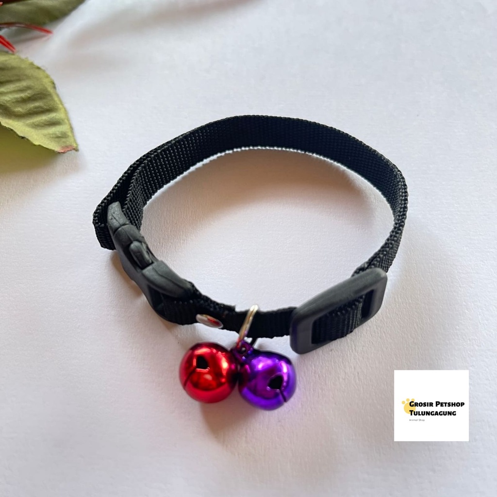 Kalung kucing 2 lonceng Polos 10ml bahan tebal