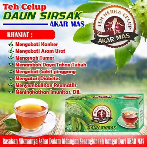 Teh Celup Daun Sirsak Teh Daun Sirsak Teh Herbal Sirsak Teh Sirsak Obat Herbal Kanker Tumor Indonesia